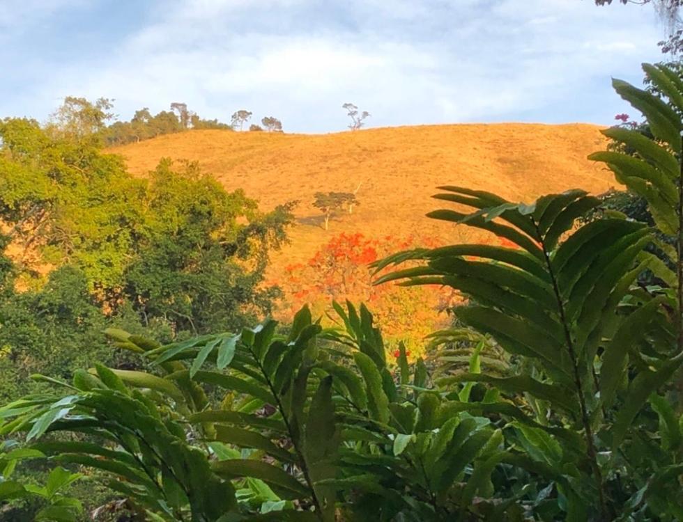 فيلا Vivenda Dos Guaranys -Um Projeto Ecologico - Casa Conservatória المظهر الخارجي الصورة